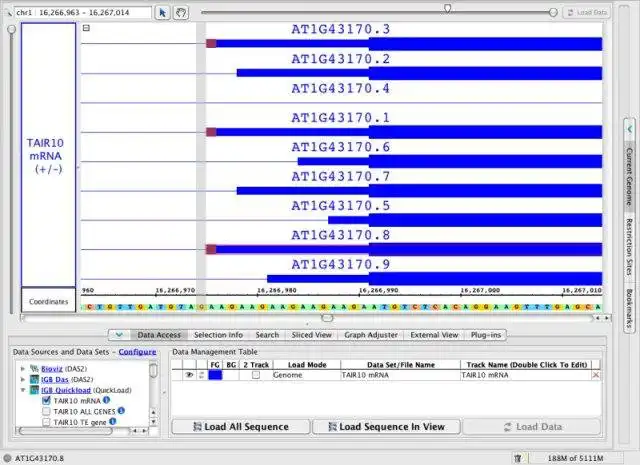 Download web tool or web app GenoViz