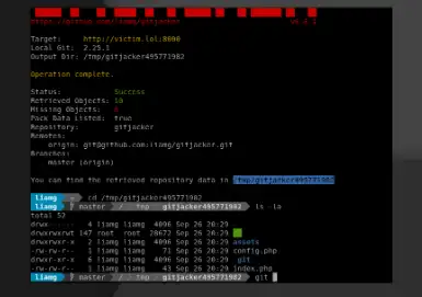 Download web tool or web app gitjacker