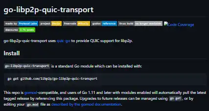 Download web tool or web app go-libp2p-quic-transport