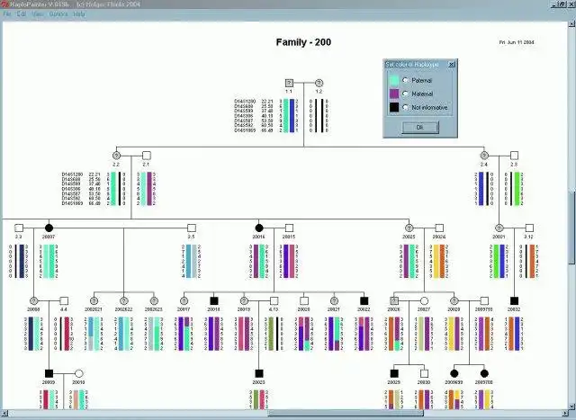 Download web tool or web app HaploPainter to run in Windows online over Linux online