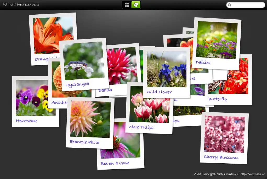 Download web tool or web app HTML5 Canvas Polaroid Previewer