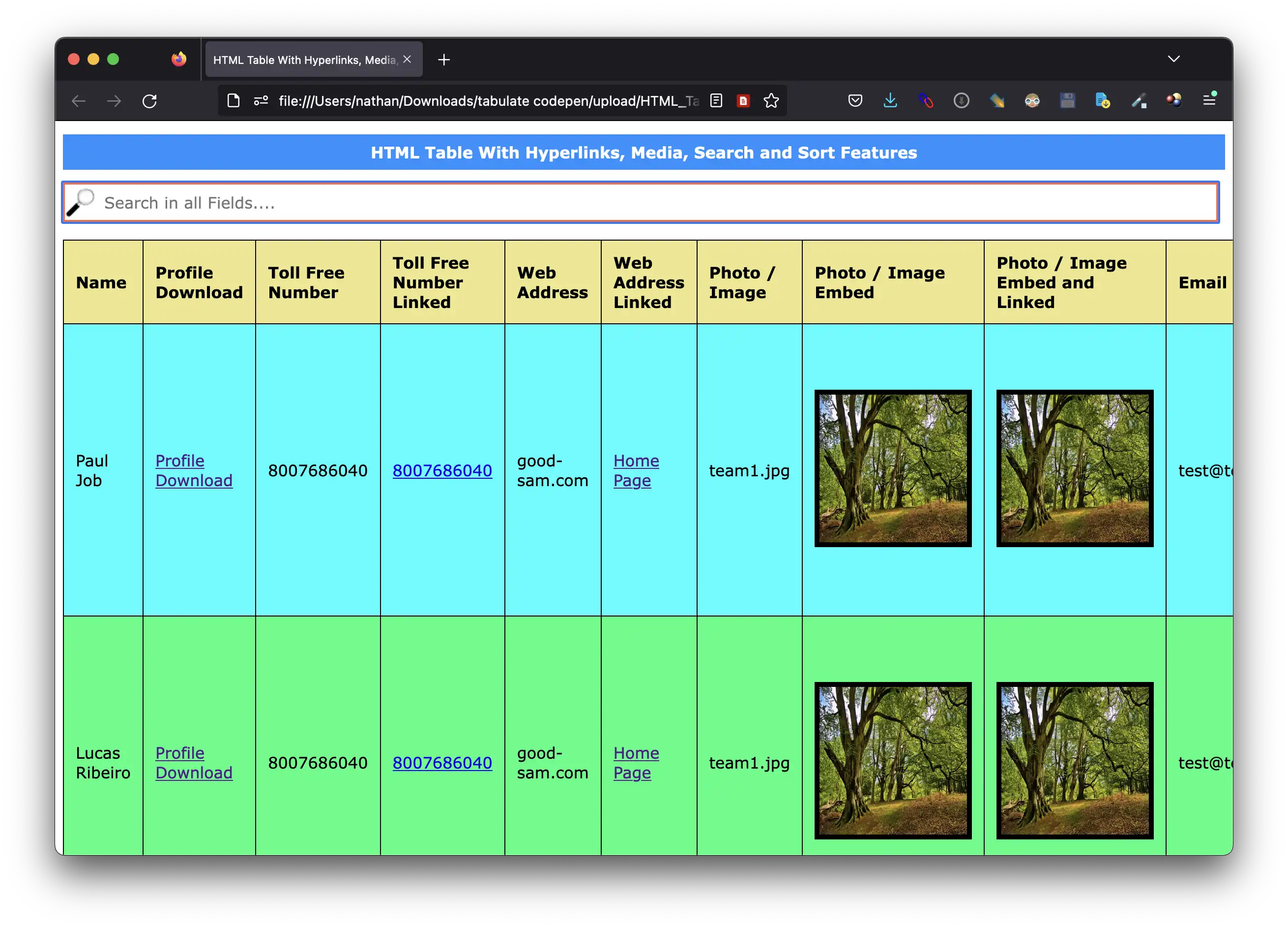 HTML Table Template With All Features Download For Windows