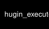 Run hugin_executor in OnWorks free hosting provider over Ubuntu Online, Fedora Online, Windows online emulator or MAC OS online emulator