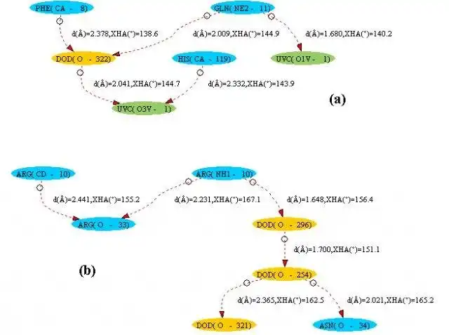 Download web tool or web app Hydrogen Bond Analysis Tool