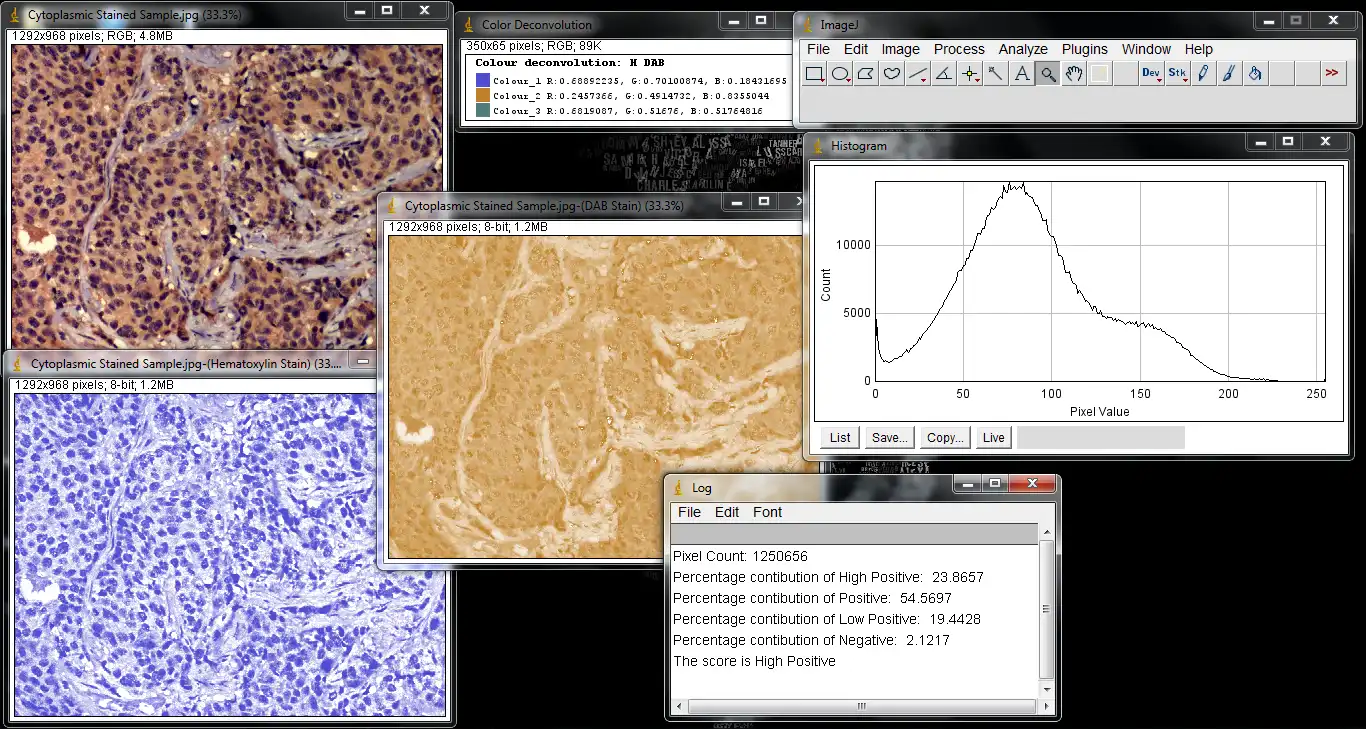 下载 Web 工具或 Web 应用程序 IHC Profiler 以在线通过 Linux 在 Windows 中运行