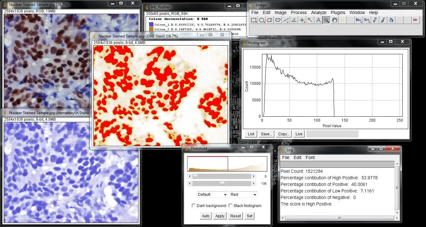 Download web tool or web app IHC Profiler to run in Windows online over Linux online