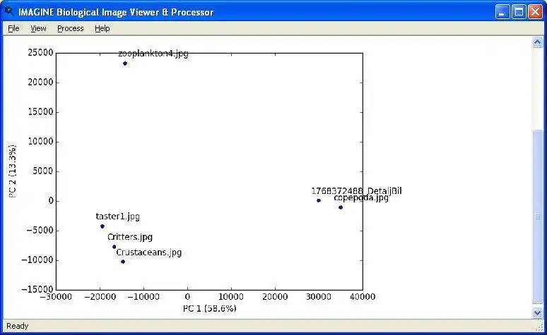 Download web tool or web app IMAGINE to run in Windows online over Linux online