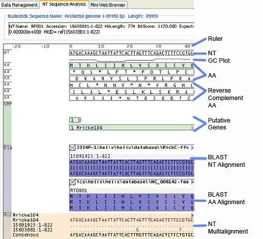 Download web tool or web app IMAS - Genomic Analysis  Visualization