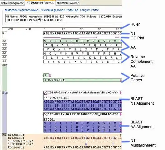 Download web tool or web app IMAS - Genomic Analysis  Visualization to run in Windows online over Linux online