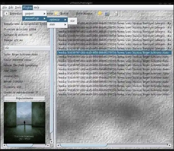 Download web tool or web app java mp3 music manager