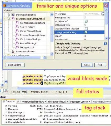 Download web tool or web app JavaVi - vi/vim editor clone