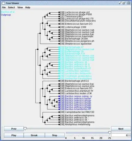 Download web tool or web app JPhylo