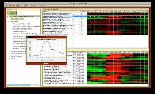 Download web tool or web app Katsura: Metabolic Pathway Analysis Tool