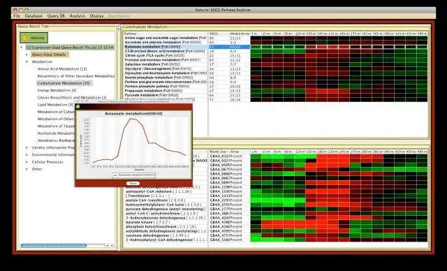 Download web tool or web app Katsura: Metabolic Pathway Analysis Tool to run in Windows online over Linux online