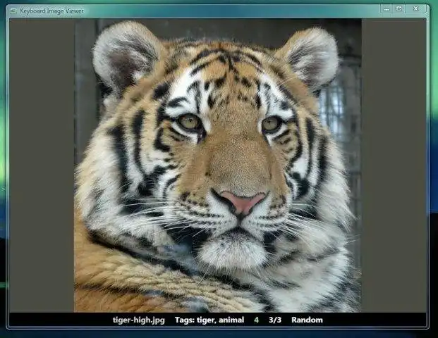 Download web tool or web app Keyboard Image Viewer