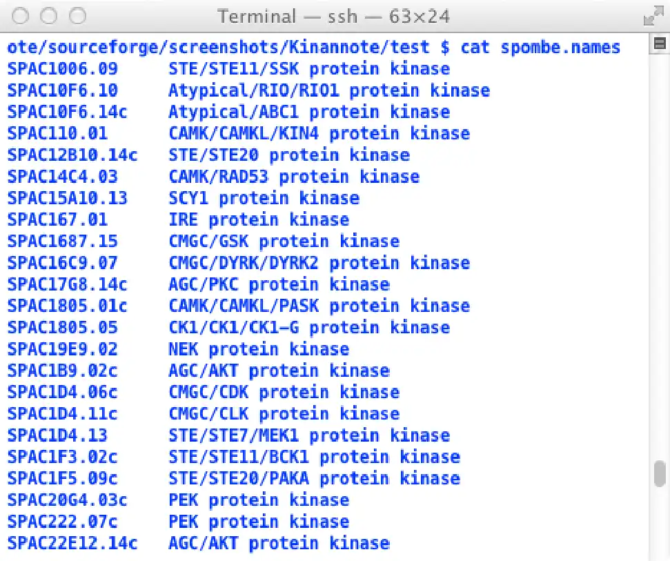 Download web tool or web app Kinannote