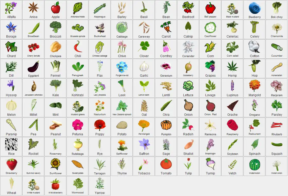 Download web tool or web app Kitchen garden aid