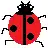 Free download LadybugPDF (4-up tool) Windows app to run online win Wine in Ubuntu online, Fedora online or Debian online