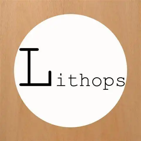 Download web tool or web app Lithops to run in Linux online