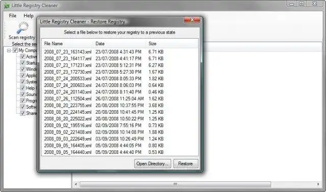 Download web tool or web app Little Registry Cleaner