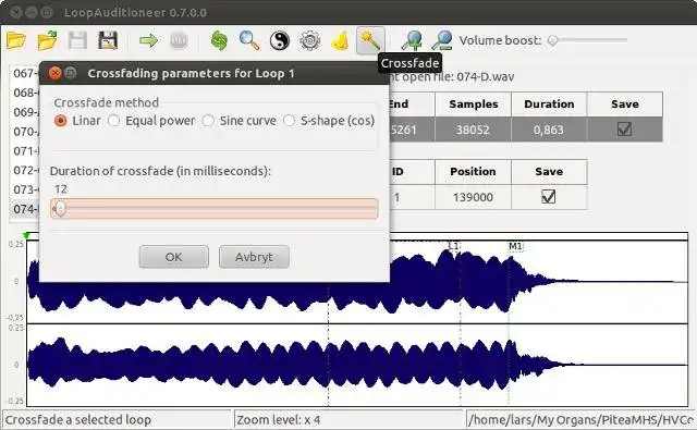 Download web tool or web app LoopAuditioneer