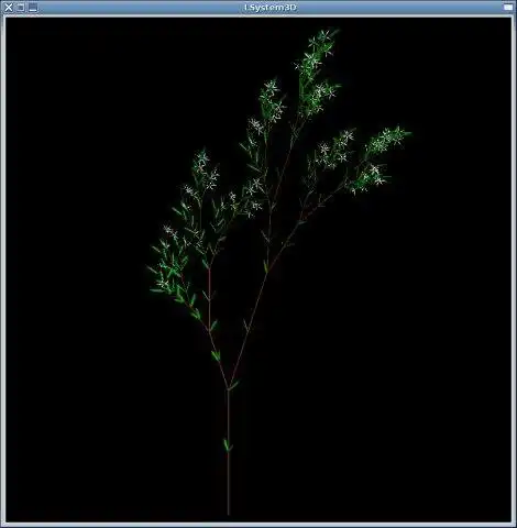 Download web tool or web app LSystem3D to run in Windows online over Linux online