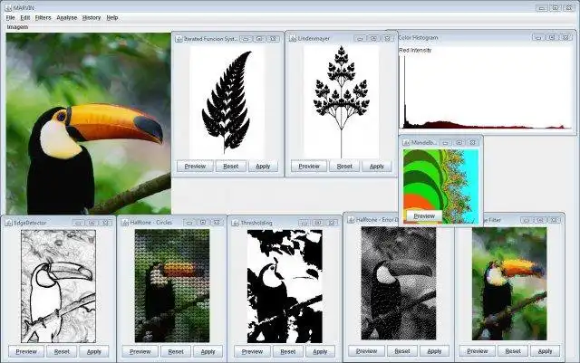 Download web tool or web app Marvin Image Processing Framework to run in Linux online