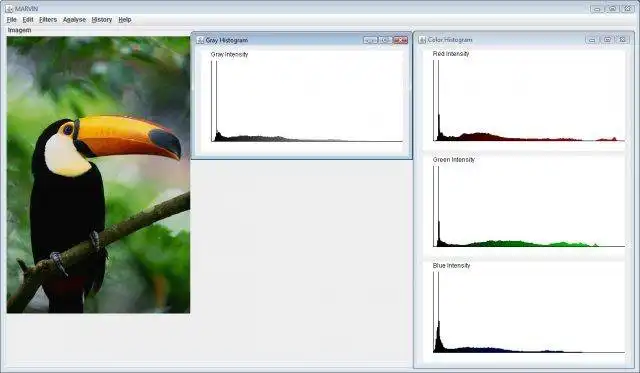 Download web tool or web app Marvin Image Processing Framework to run in Linux online