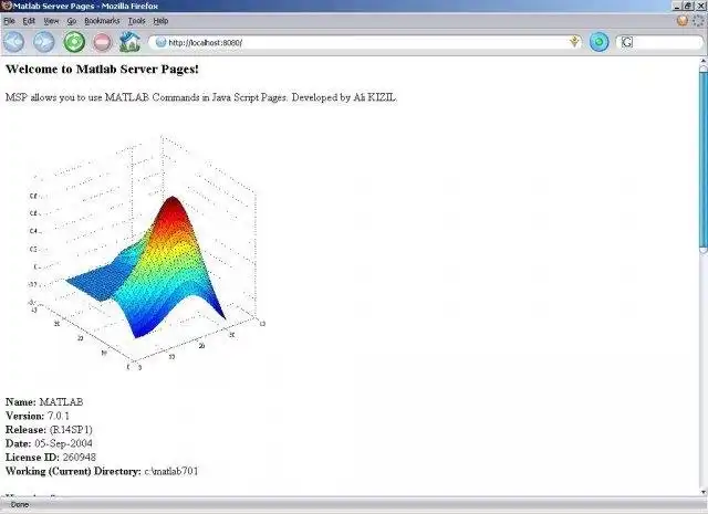 Download web tool or web app MATLAB Server Pages