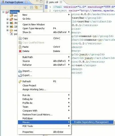 Download web tool or web app Maven2 For Eclipse