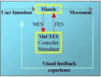 Download web tool or web app MeCFES