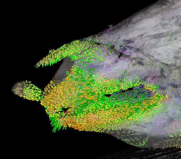 Download web tool or web app medical image analysis to run in Linux online