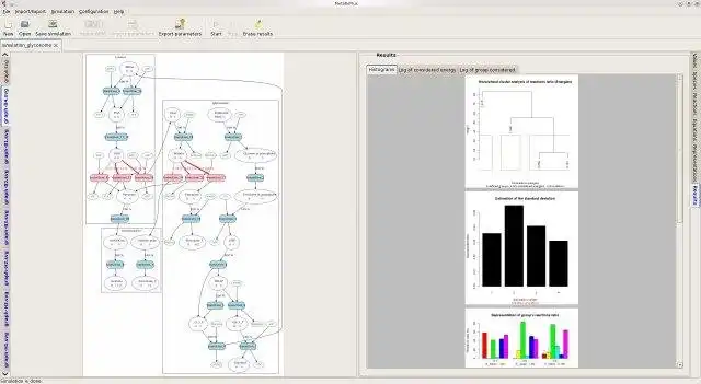 Download web tool or web app MetaBoFlux