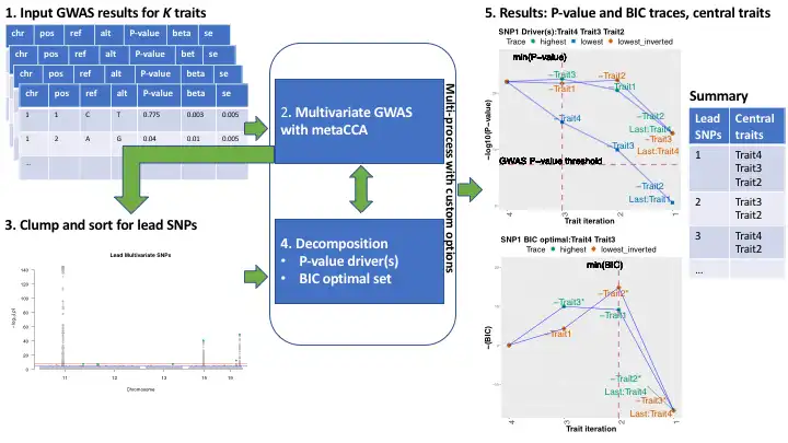 Download web tool or web app MetaPhat -meta-pheno-association-tracker