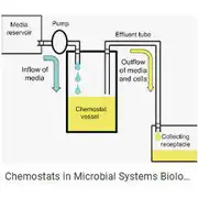 Free download MicrobialChemostatSimulation Windows app to run online win Wine in Ubuntu online, Fedora online or Debian online