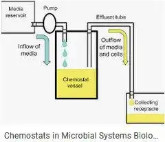 Download web tool or web app MicrobialChemostatSimulation