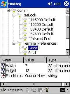 Download web tool or web app MiniReg