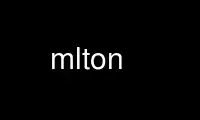 Run mlton in OnWorks free hosting provider over Ubuntu Online, Fedora Online, Windows online emulator or MAC OS online emulator