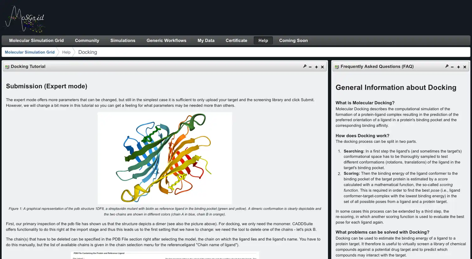 Загрузите веб-инструмент или веб-приложение Molecular Simulation Grid