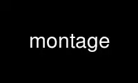 Run montage in OnWorks free hosting provider over Ubuntu Online, Fedora Online, Windows online emulator or MAC OS online emulator