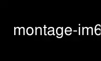 Run montage-im6 in OnWorks free hosting provider over Ubuntu Online, Fedora Online, Windows online emulator or MAC OS online emulator