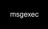 Run msgexec in OnWorks free hosting provider over Ubuntu Online, Fedora Online, Windows online emulator or MAC OS online emulator