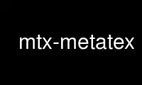 Run mtx-metatex in OnWorks free hosting provider over Ubuntu Online, Fedora Online, Windows online emulator or MAC OS online emulator