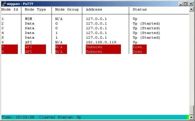 Download web tool or web app ndbtop