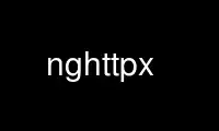 Run nghttpx in OnWorks free hosting provider over Ubuntu Online, Fedora Online, Windows online emulator or MAC OS online emulator