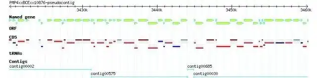 Download web tool or web app NMRC Genomics Software