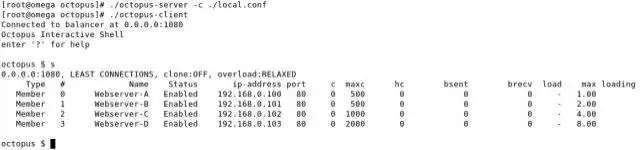 Download web tool or web app Octopus Load Balancer