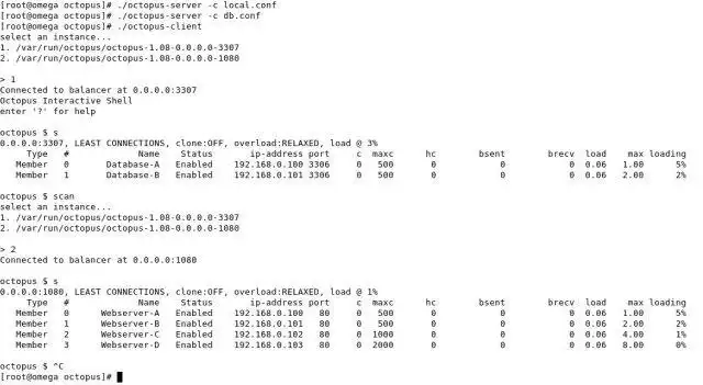 Download web tool or web app Octopus Load Balancer