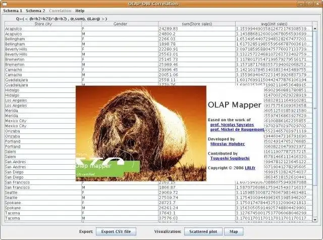 Download web tool or web app Olap Mapper