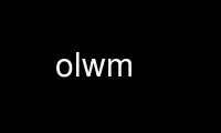 Run olwm in OnWorks free hosting provider over Ubuntu Online, Fedora Online, Windows online emulator or MAC OS online emulator